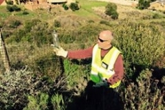 18 July 2015 - Clean-Up